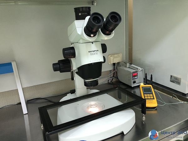 Нудист шлюхалардың порно фотолары