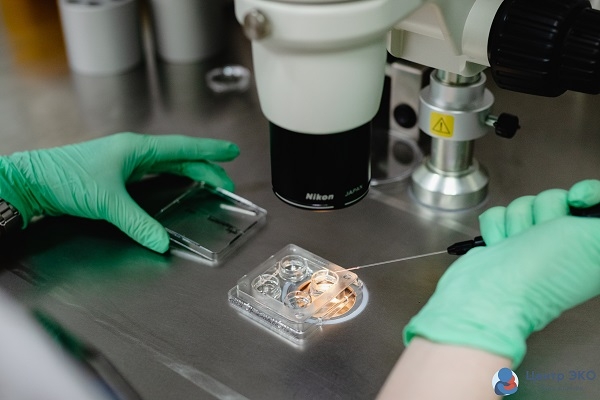 Pussy Riot порно видео