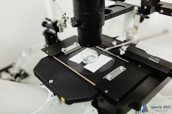 Роль психологии в лечении бесплодия